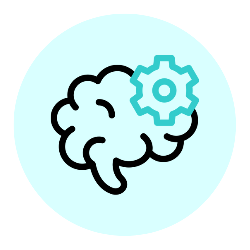 Brain Function Support